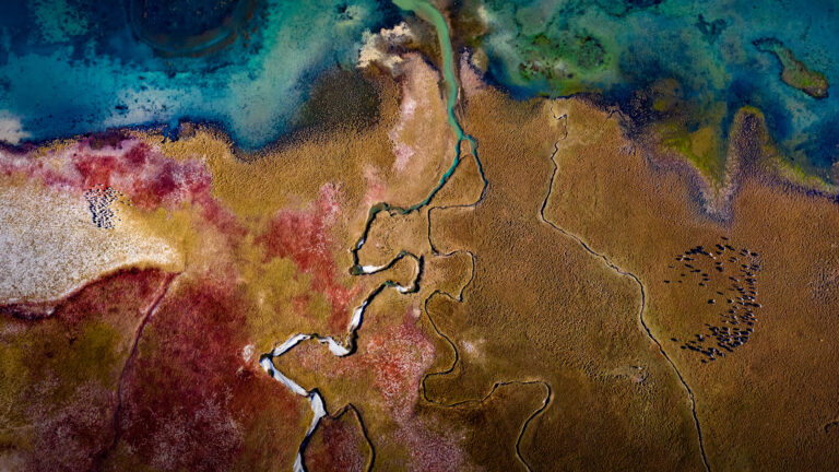 Zhang Jiyuan - Multicolored